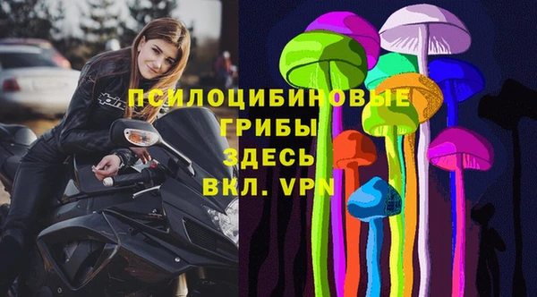 прущие крисы Алексеевка