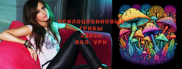 прущие крисы Алексин