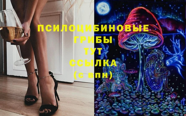 круглые Алзамай